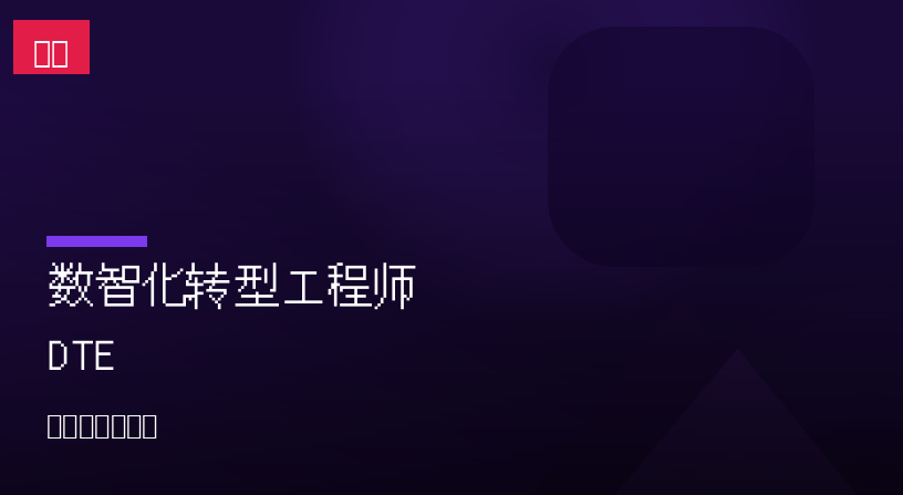 数智化转型工程师 DTE