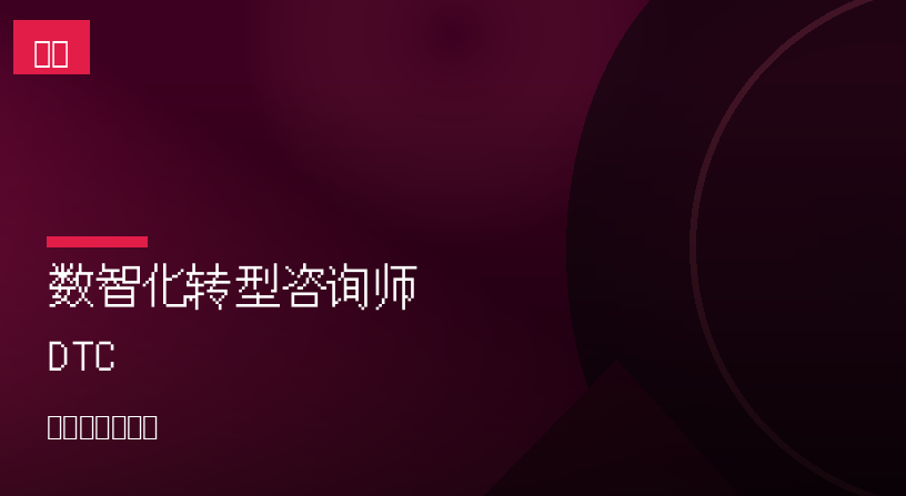 数智化转型咨询师 DTC